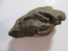 Largest (By Far) Meteorite in this Sale--Found in Northwest Africa SEE NOTE@ END