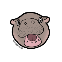 Baby Hippo