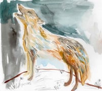 Image 2 of Young Coyote Howl - Original Watercolor & Graphite Painting