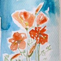 Image 1 of California Poppies - Original Watercolor