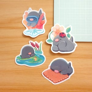 Image of Coral, Ladybug, Pond, Chomp | Glossy Stickers