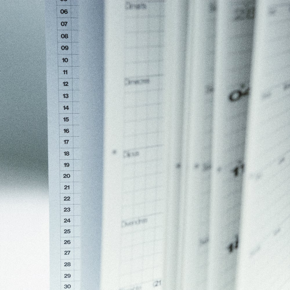Image of [MERCÈ LLEDÓS™] AGENDA 2024–2025