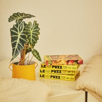 Image 7 of LE PUZZ™ — "JUICY" (500 PIEZAS)