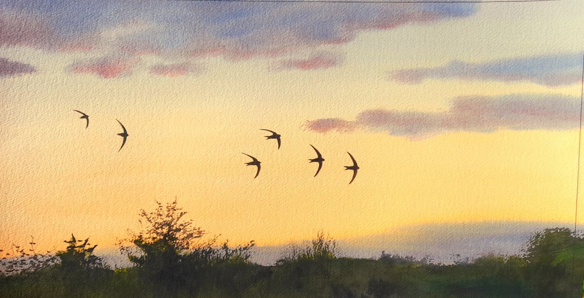 Image of Six swifts' fast, low pass