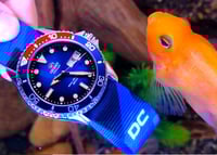 Image 2 of Divecore Nylon Strap