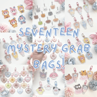 Image 1 of Seventeen Grab Bags