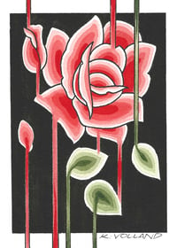 KENNY VOLLAND: Red streak rose