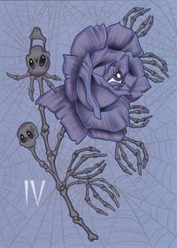 CHRIS IVEY: Eyeball rose