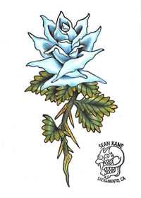 SEAN KANE: Blue rose