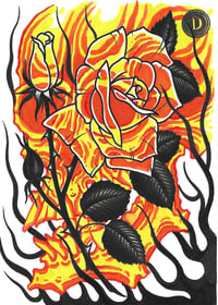 JJ DUNBAR: Cinder skull rose