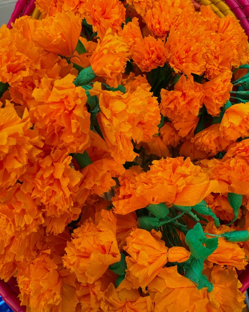 Mini Marigolds