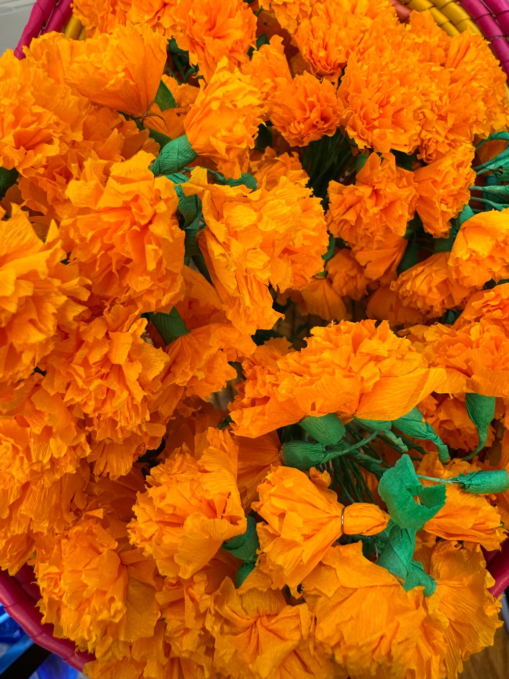 Mini Marigolds