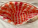 Image of Lucky Cat Zipper Pouch