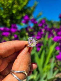 Image 1 of Purple garden ring 