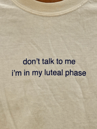 Image 3 of don't talk to me, i'm in my luteal phase 