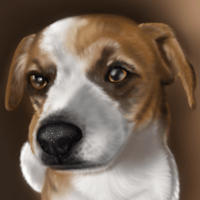 Image 5 of Digital Pet Portrait (Digital Art download Only)