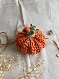 Image 3 of Crochet Farmhouse Pumpkin