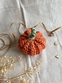 Image 4 of Crochet Farmhouse Pumpkin
