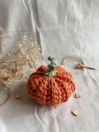Image 5 of Crochet Farmhouse Pumpkin