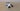 PANDA - ARTICULATED FIGURE KEYCHAIN