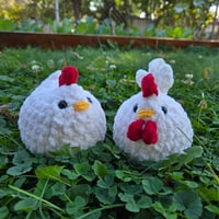 Image 1 of White Chicken