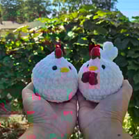 Image 2 of White Chicken