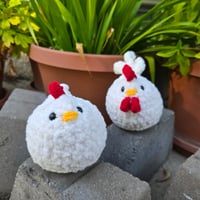 Image 3 of White Chicken