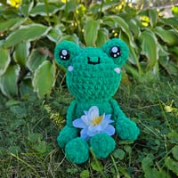 Image 1 of Flimsy Frog