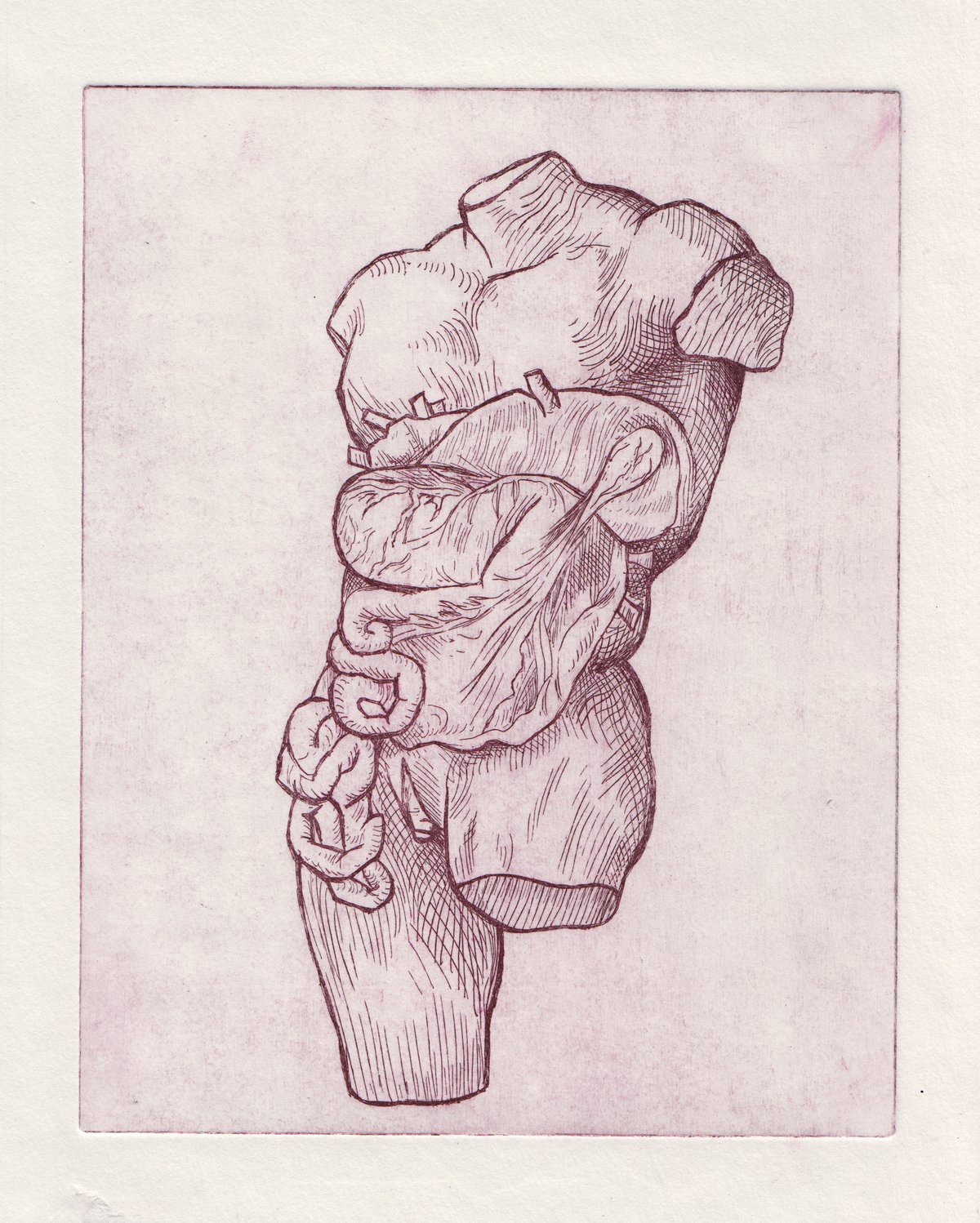 Image of Anatomical Intaglio Prints