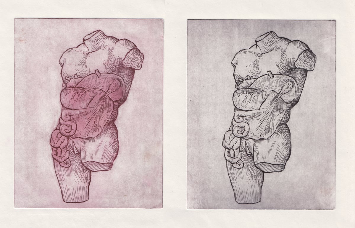 Image of Anatomical Intaglio Prints