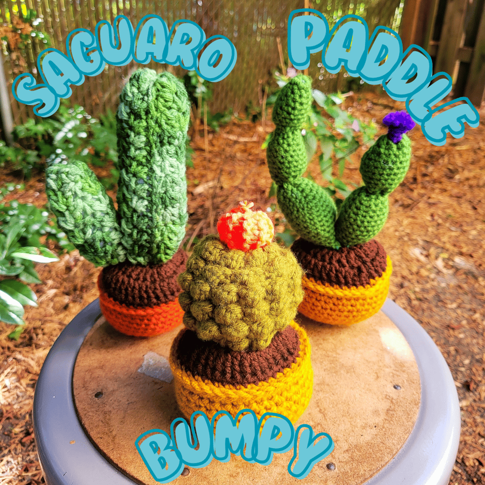 MEDIUM CACTUS COMMISSION