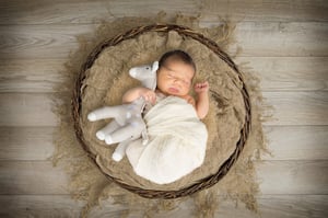 Image of Newborn Session
