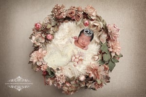 Image of Newborn Session