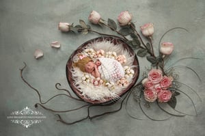 Image of Newborn Session