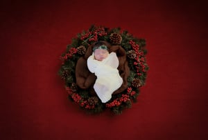 Image of Newborn Session