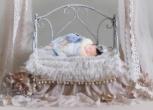 Image of Newborn Session
