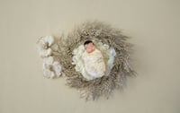 Image 5 of Newborn Session