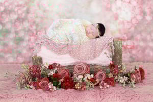 Image of Newborn Session