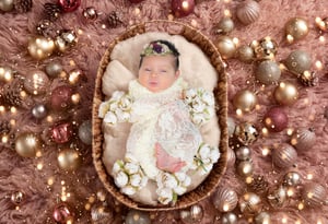 Image of Newborn Session