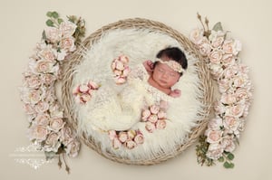 Image of Newborn Session