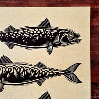 Image 3 of Mackerel Print