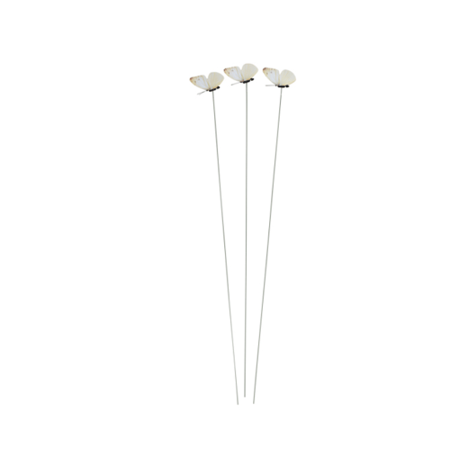 Image of Cabbage Moth Deterrent 