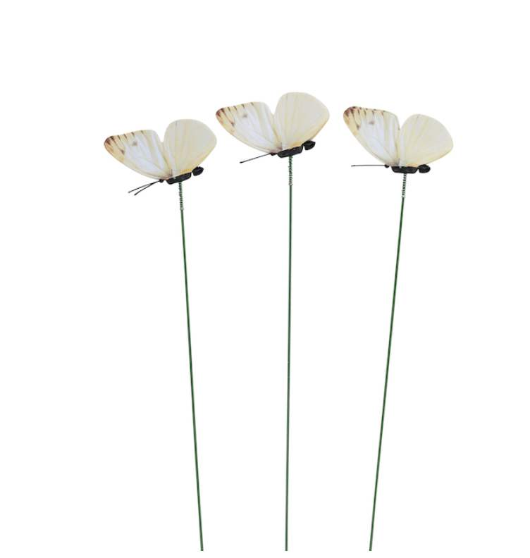 Image of Cabbage Moth Deterrent 