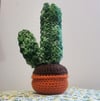 Medium Green Speckle Saguaro Cactus