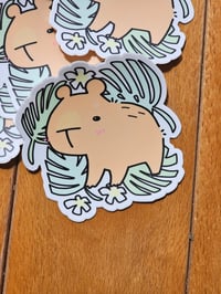 Tropicapy