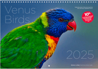 Venus Birds Calendar 2025