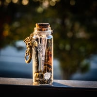 Image 3 of Adventurers Pack - Message in a Bottle