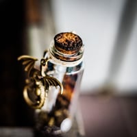 Image 7 of Adventurers Pack - Message in a Bottle