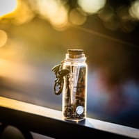Image 8 of Adventurers Pack - Message in a Bottle