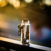 Image 11 of Adventurers Pack - Message in a Bottle